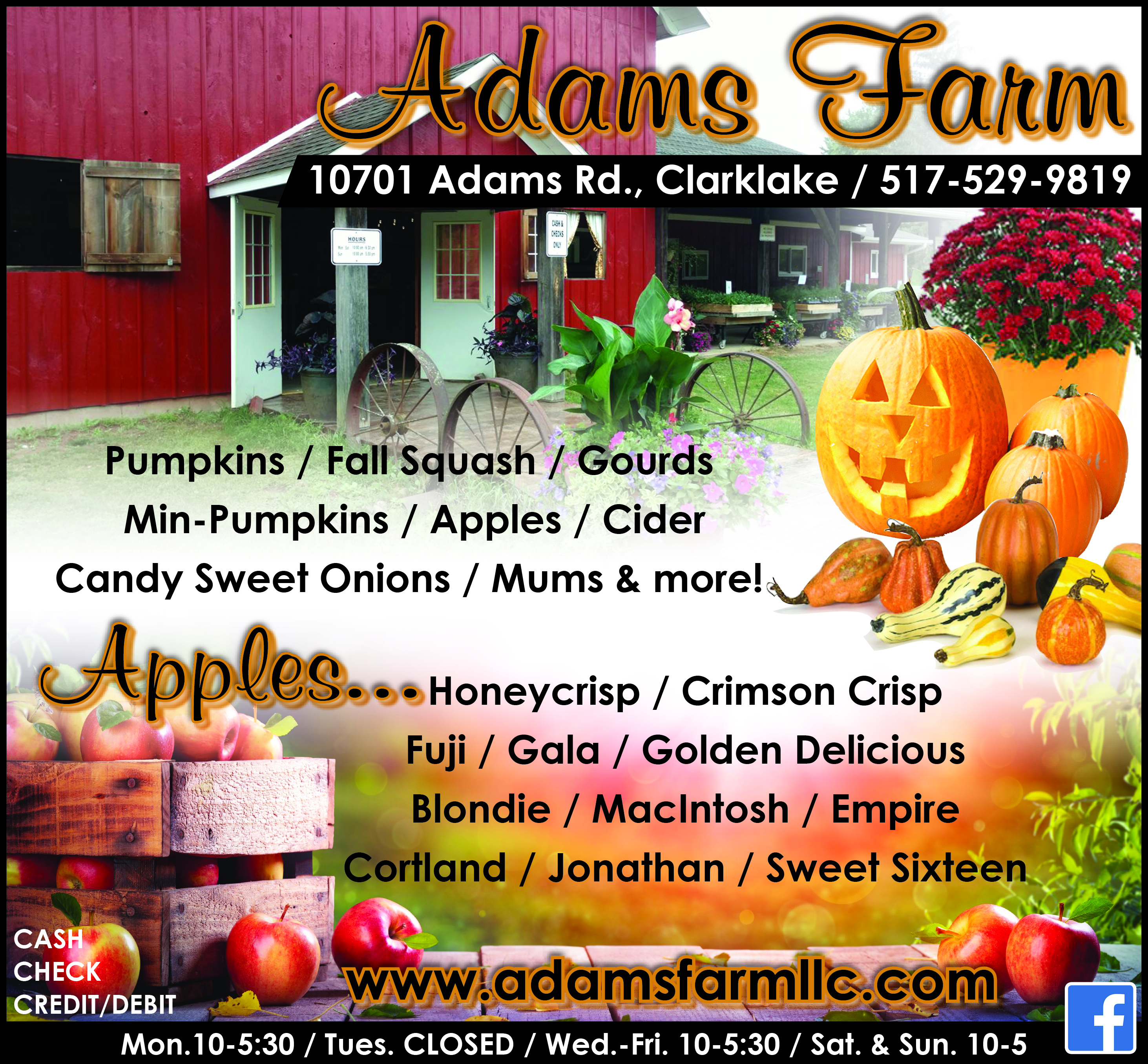 Adams Farm Pumpkin Patch and Cider